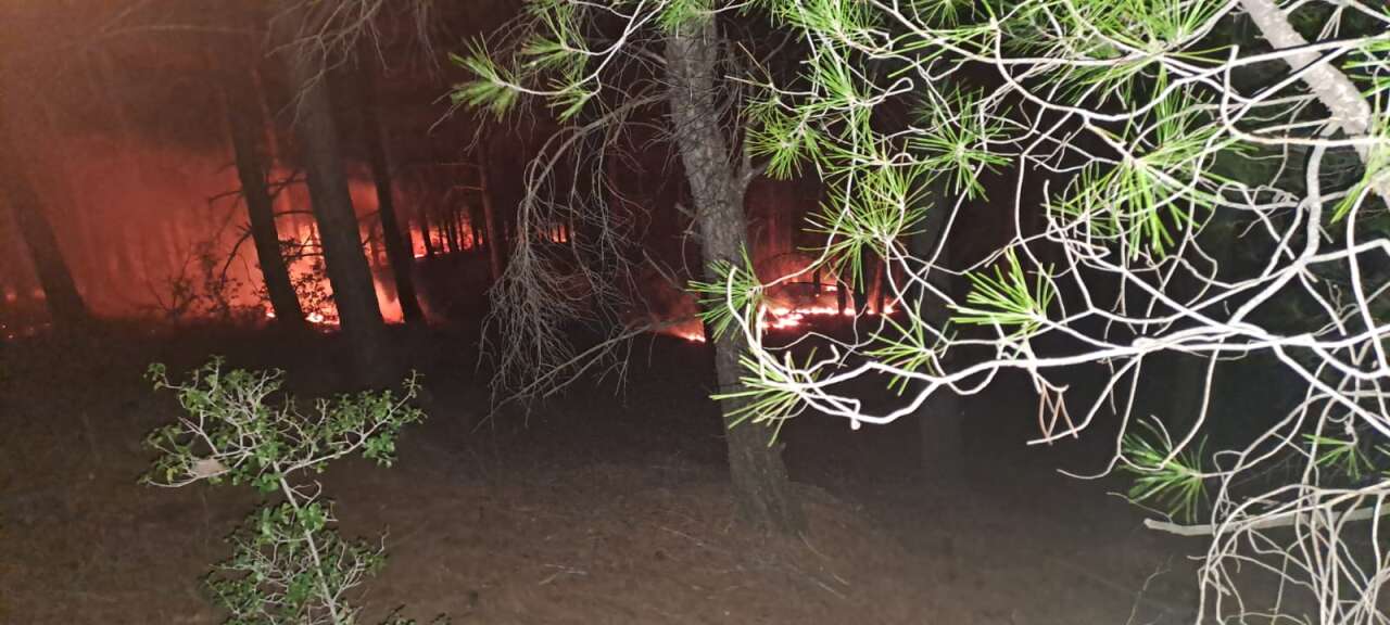 Milas'ta Orman Ekipleri Alevlere Geçit Vermedi 1